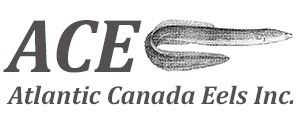Atlantic Canada Eels Inc